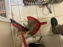 Dustpan full of dust