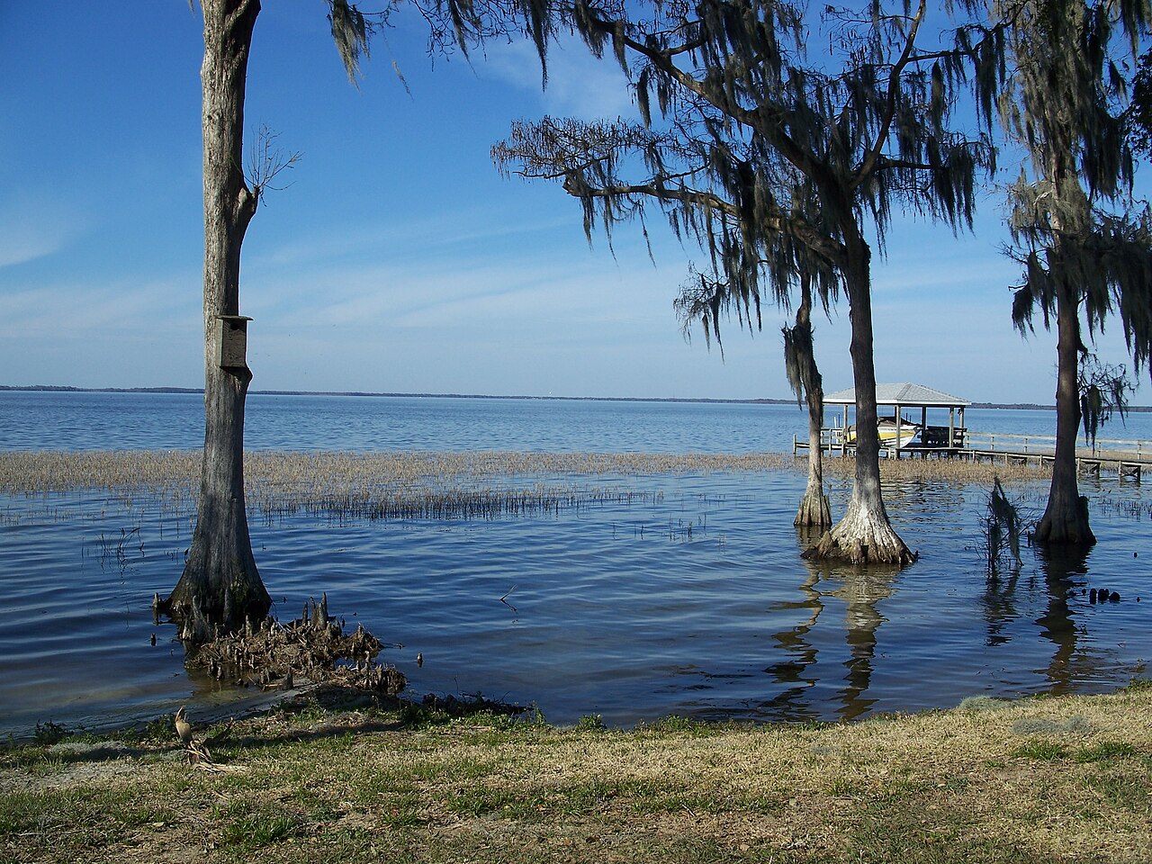 Yalaha, FL